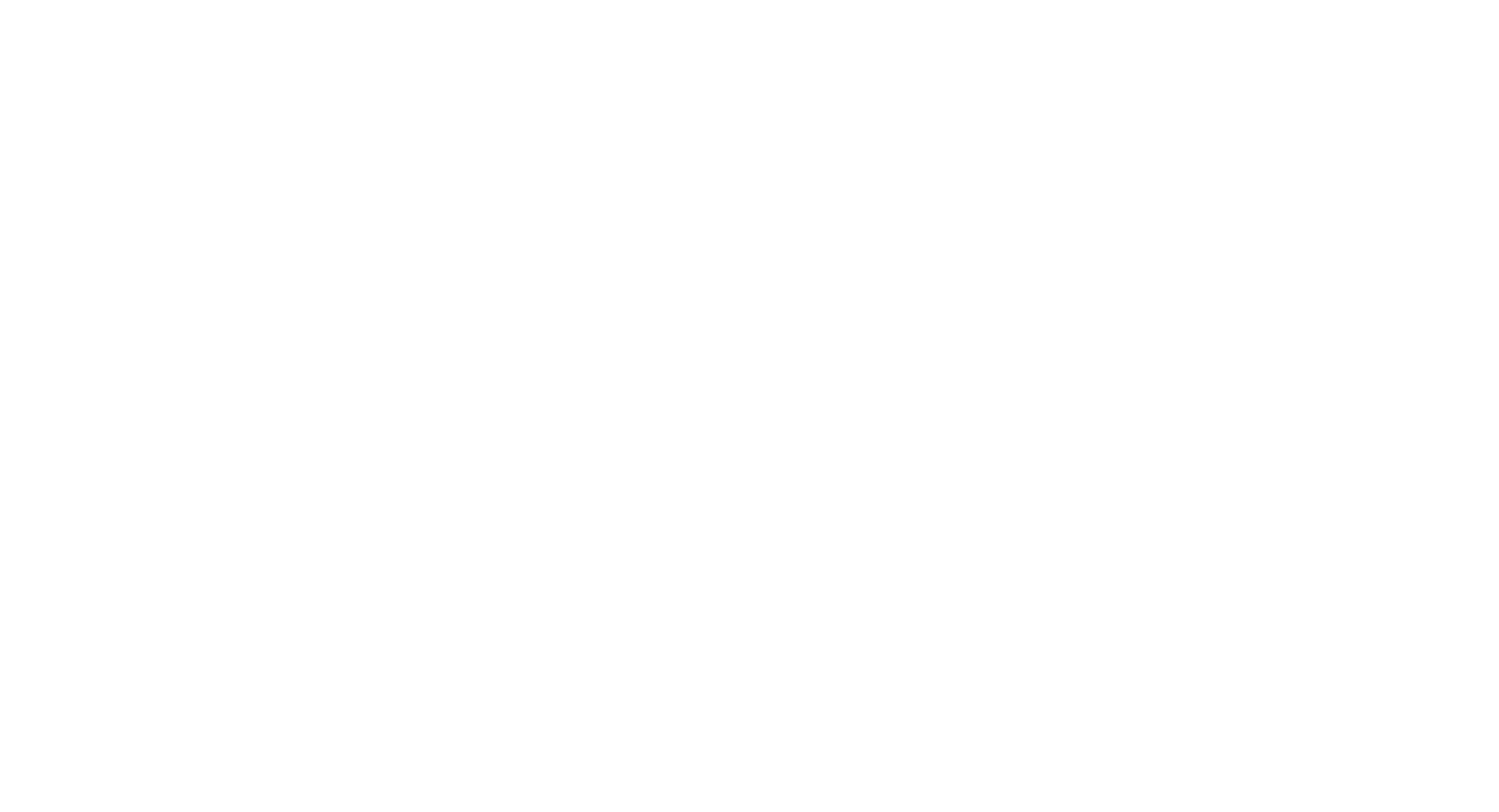 VLG Insurance Services